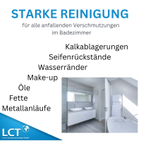 LCT Sanitär- und Gebäudereiniger, 1 Liter, inkl. Sicherheitssprühkopf